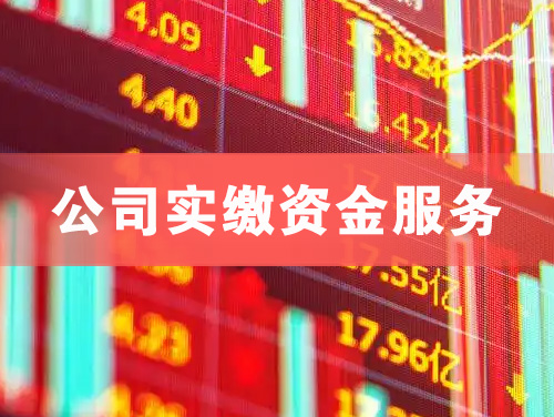 武穴公司实缴资金服务