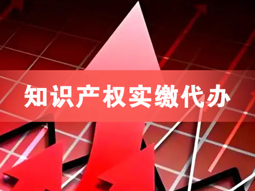 武穴知识产权实缴资本代办